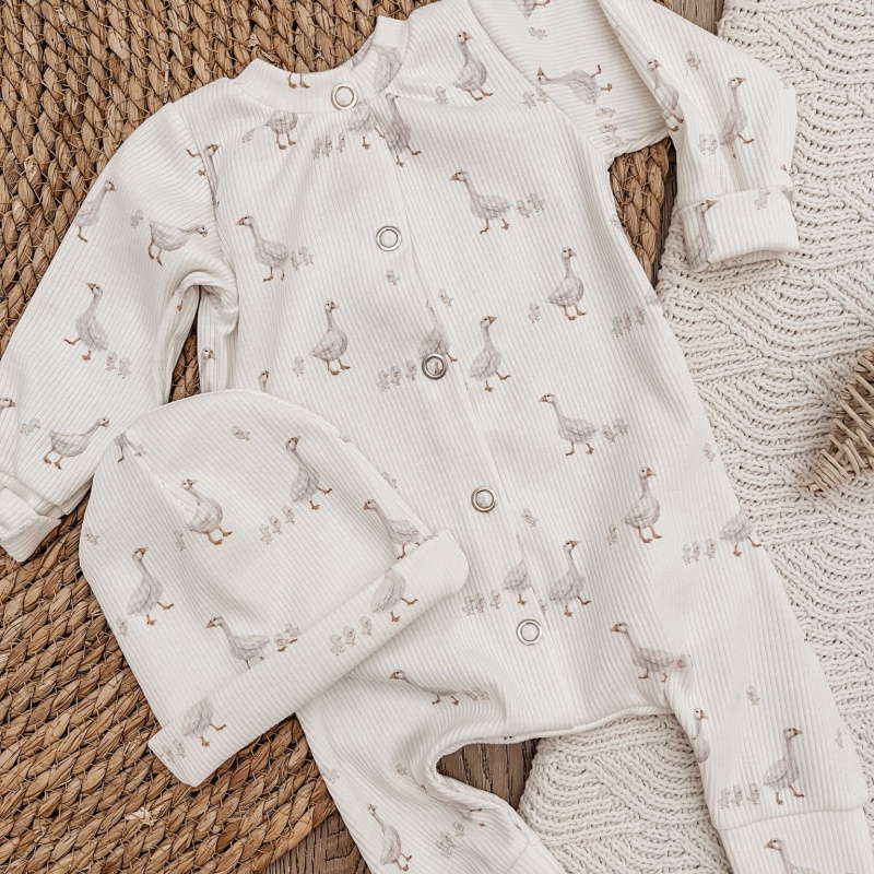 BV boxpakje baby rib ganzen - Afbeelding 3