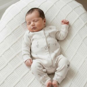 BV boxpakje baby rib ganzen